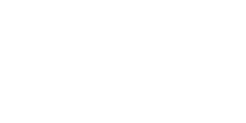 The New Inn